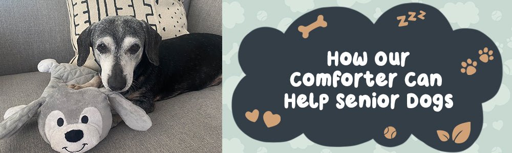 How Our Comforter Can Help Senior Dogs - riffraffpets