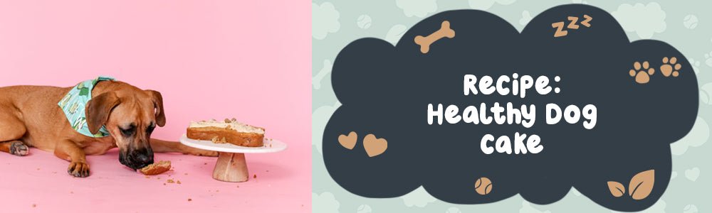 Recipe: Healthy Dog Cake - riffraffpets