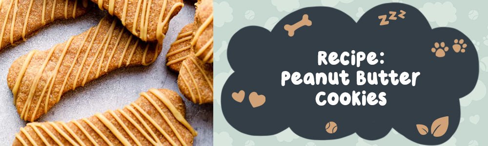 Recipe: Peanut Butter Cookies - riffraffpets
