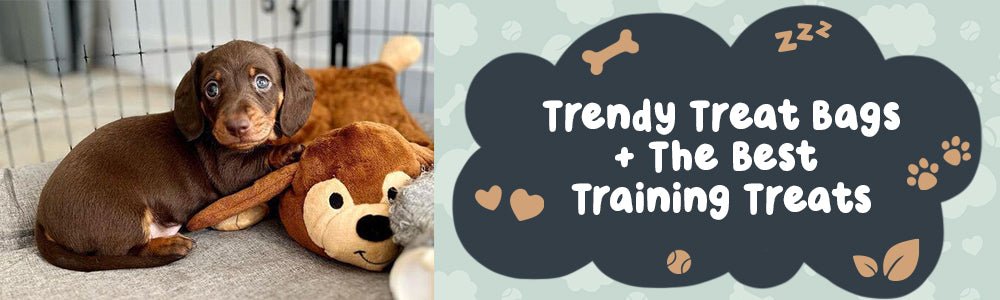 Trendy Treat Bags + The Best Training Treats - riffraffpets
