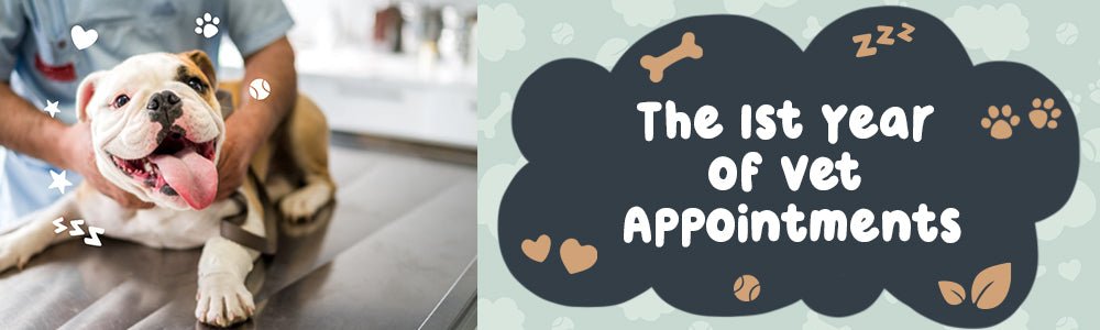 A Riff Raff Guide: The 1st Year of Vet Appointments - riffraffpets