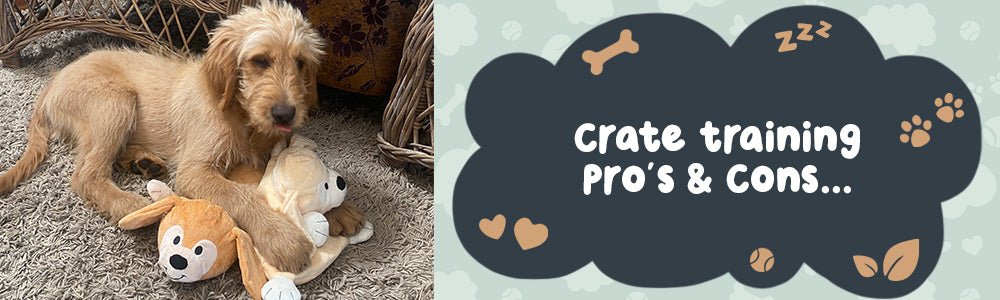 Crate Training Pros and Cons - riffraffpets