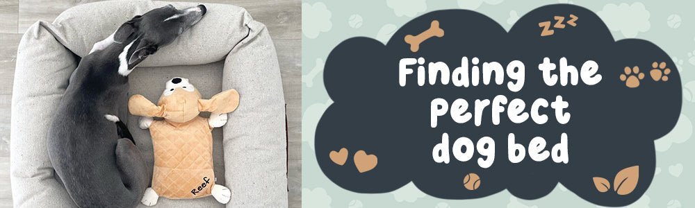 Finding the perfect dog bed - riffraffpets