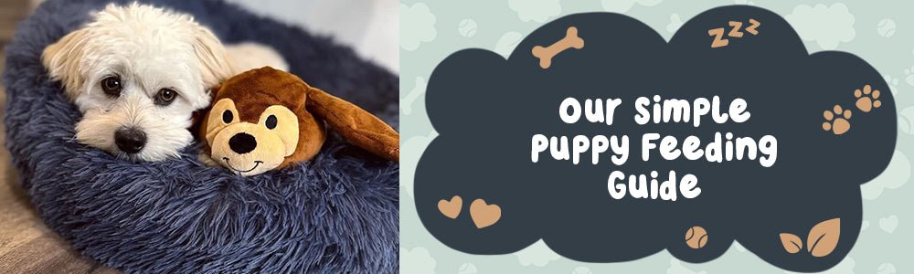 Riff Raff's Simple Puppy Feeding Guide - riffraffpets