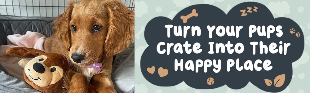 Small Dogs, Big Feelings: Why Toy & Petite Breeds Love Comfort - riffraffpets