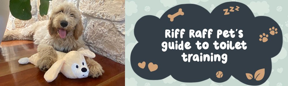 The Riff Raff Guide To Toilet Training Your Puppy - riffraffpets
