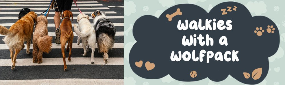Walkies With a Wolfpack: How to Master Multi-Dog Walks - riffraffpets