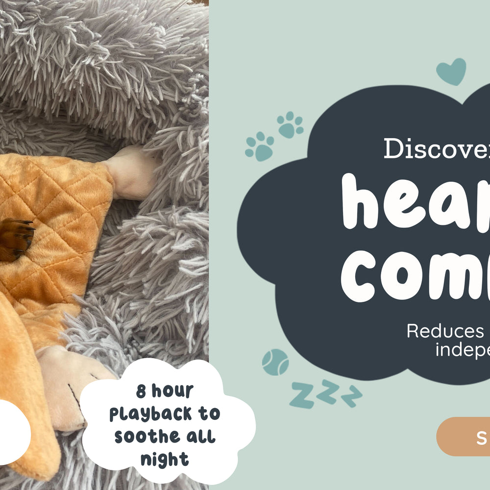 Riff Raff Pets - Perfect Companion for Your Furry Friend β riffraffpets