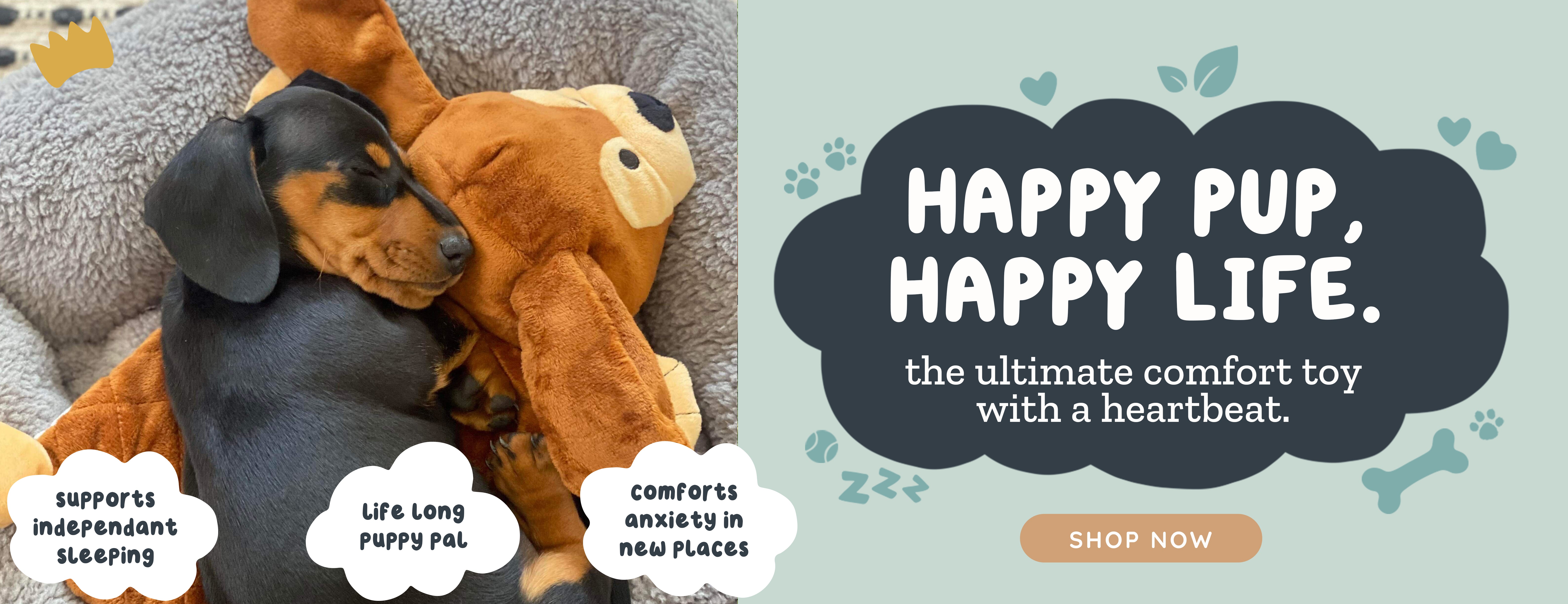 Riff Raff Pets - Perfect Companion for Your Furry Friend β riffraffpets