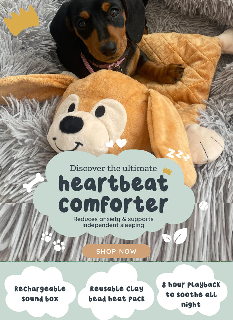 Riff Raff Pets - Perfect Companion for Your Furry Friend – riffraffpets