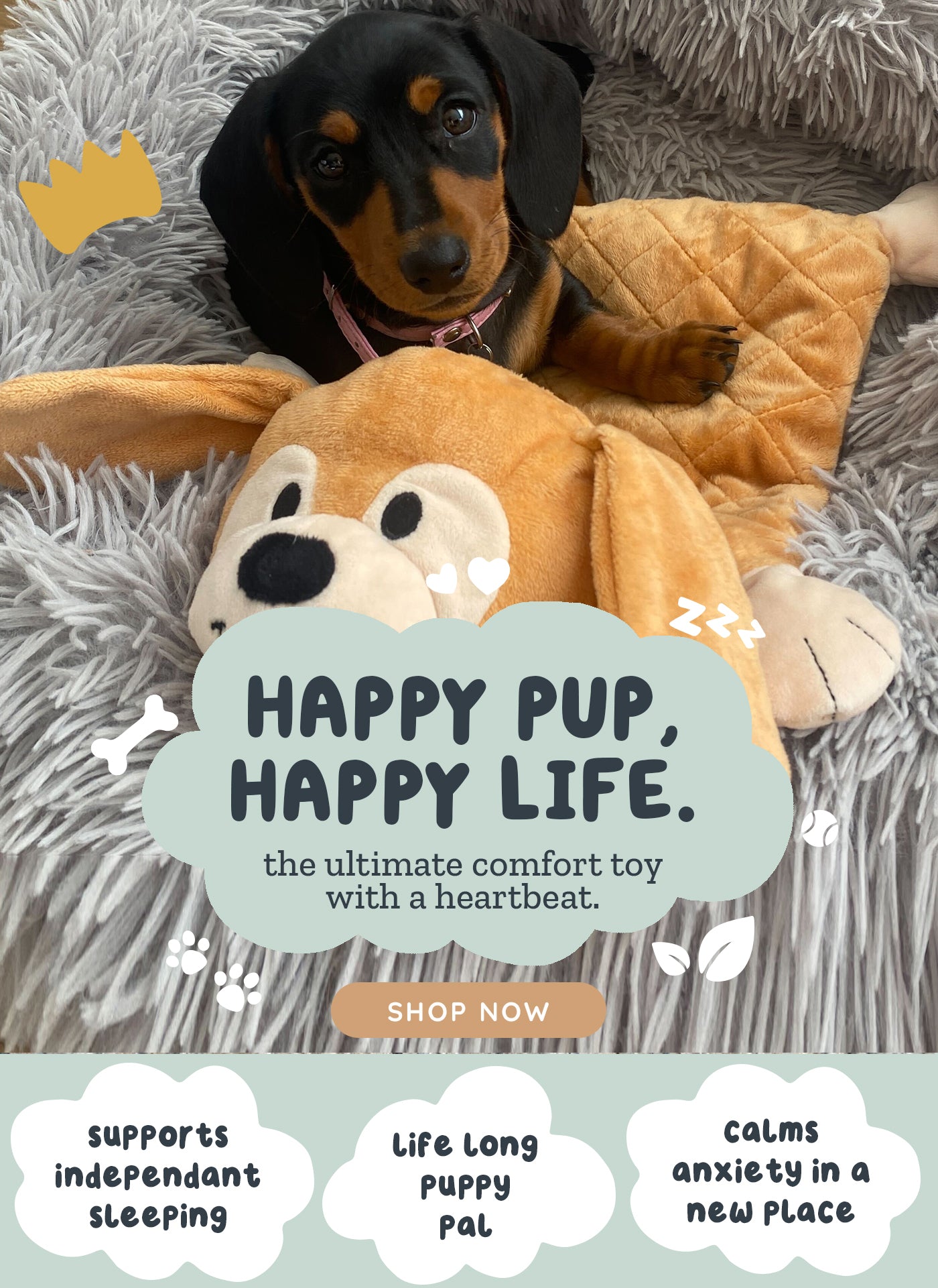 Riff Raff Pets - Perfect Companion for Your Furry Friend – riffraffpets