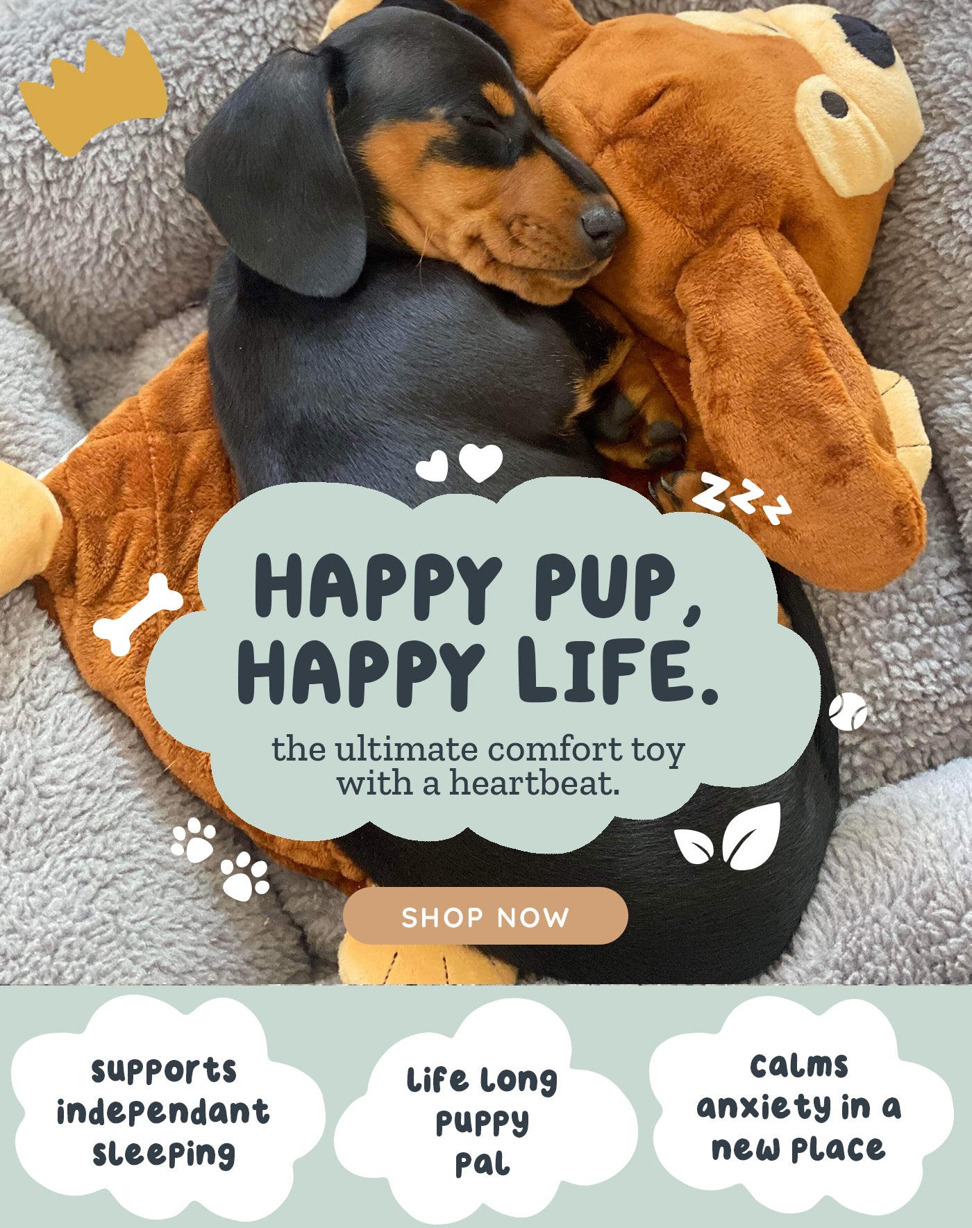 Riff Raff Pets - Perfect Companion for Your Furry Friend β riffraffpets