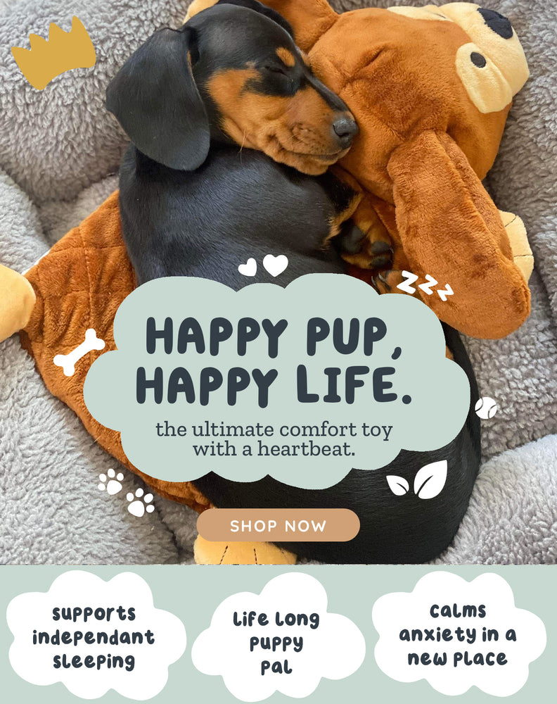 Riff Raff Pets - Perfect Companion for Your Furry Friend – riffraffpets