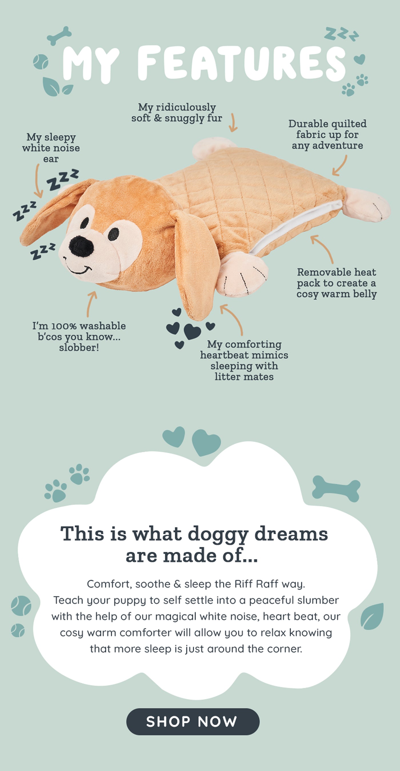 Riff Raff Pets - Perfect Companion for Your Furry Friend – riffraffpets