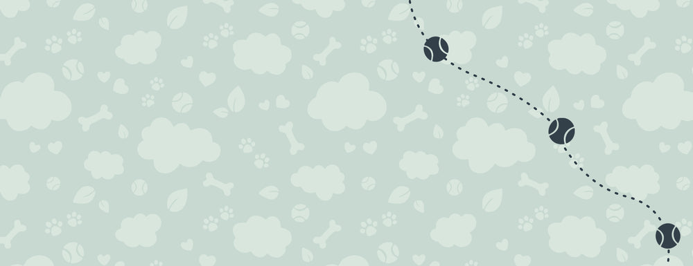 Riff Raff Pets - Perfect Companion for Your Furry Friend β riffraffpets