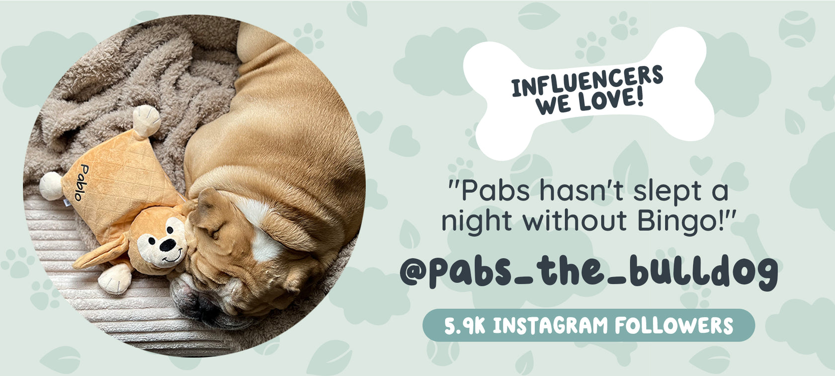 Riff Raff Pets - Perfect Companion for Your Furry Friend β riffraffpets