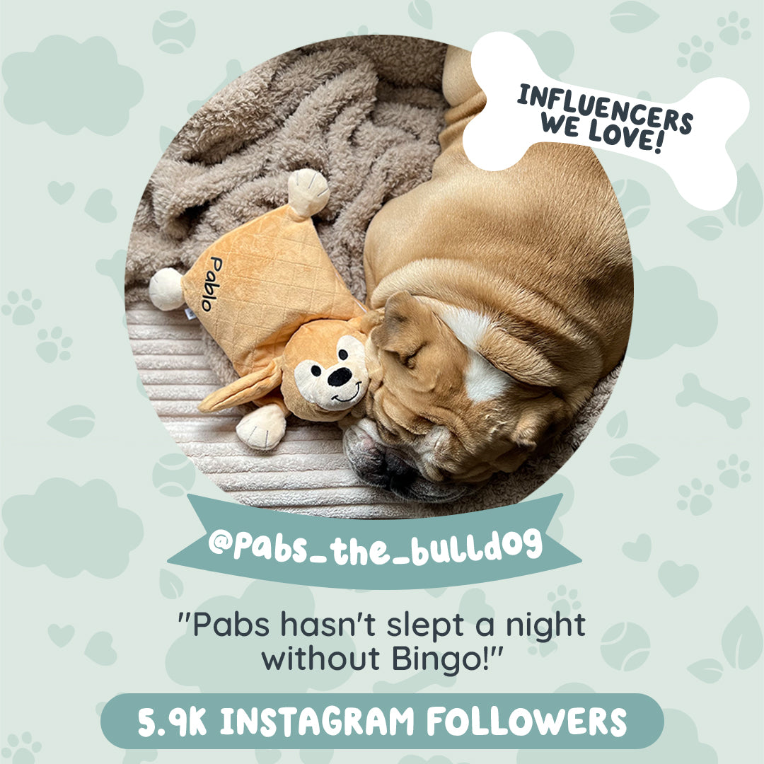 Riff Raff Pets - Perfect Companion for Your Furry Friend – riffraffpets