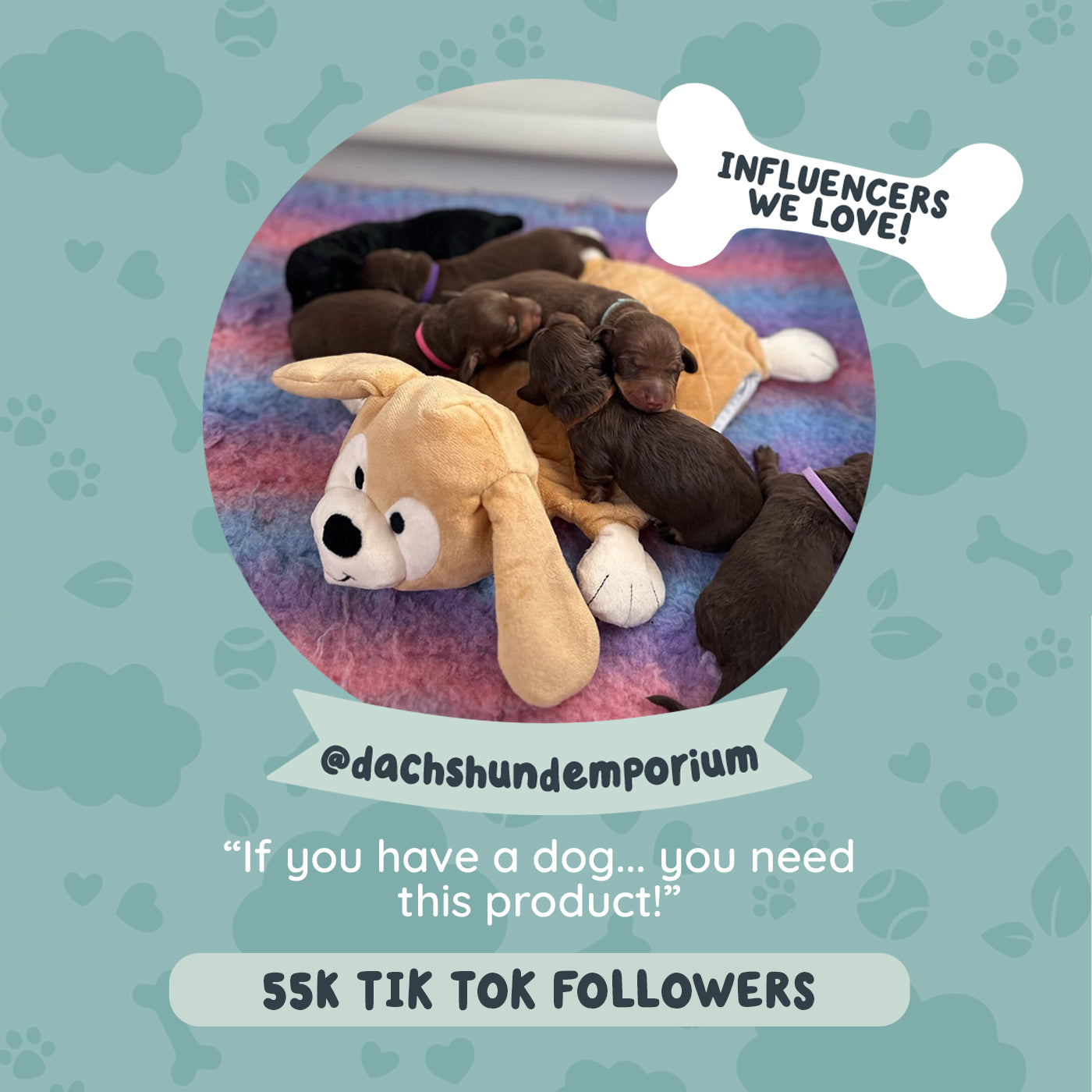 Riff Raff Pets - Perfect Companion for Your Furry Friend β riffraffpets