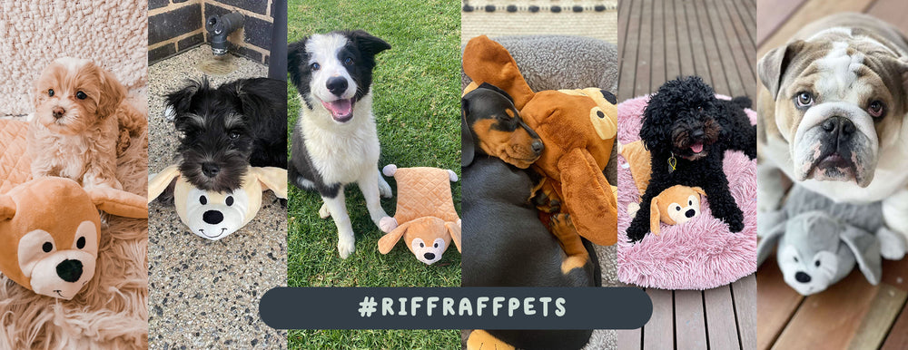 riffraffpets