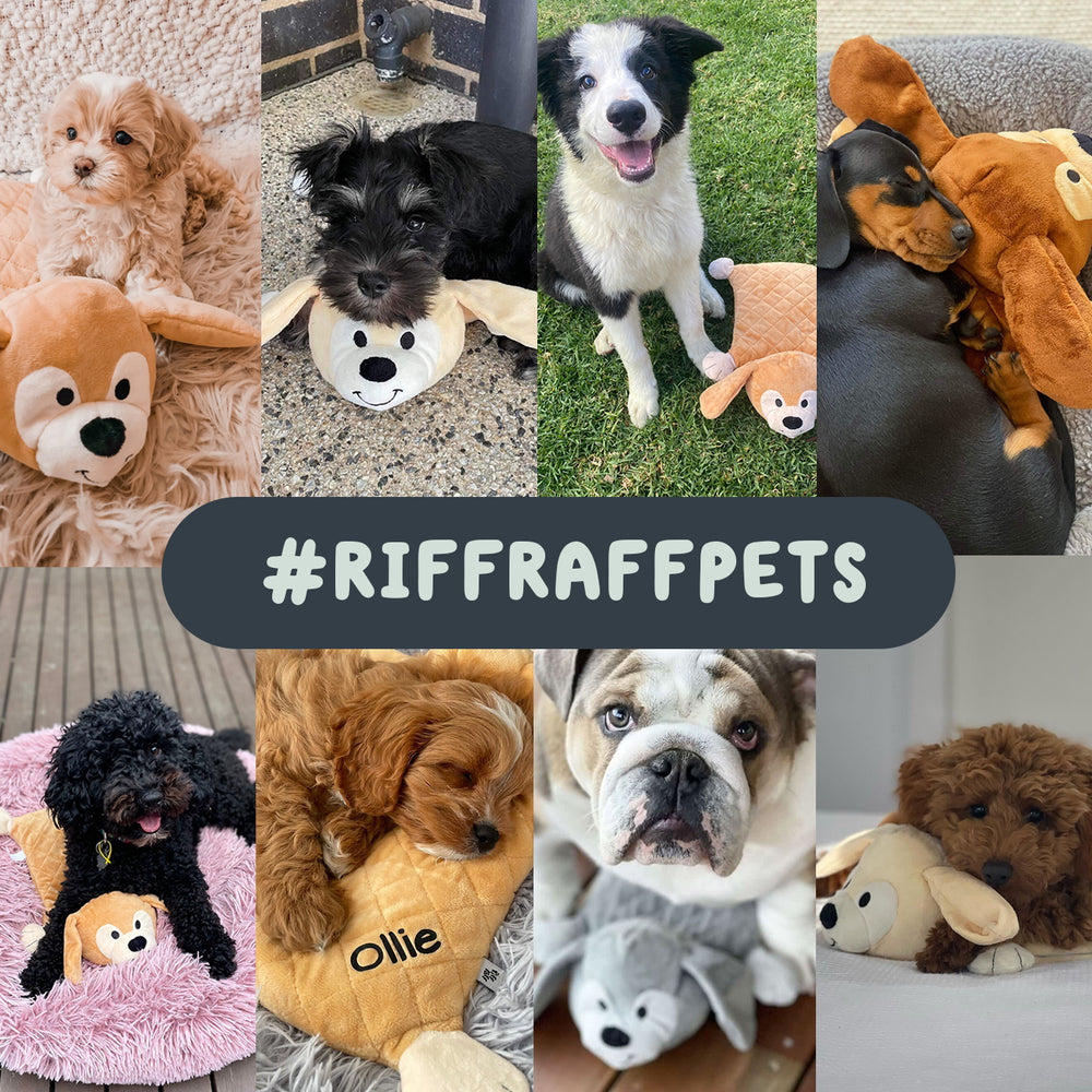 riffraffpets