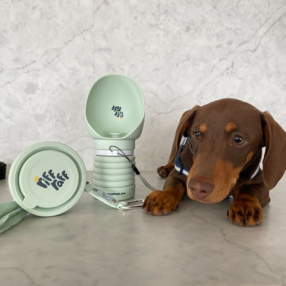 
                      
                        Canine Caddy - riffraffpets
                      
                    