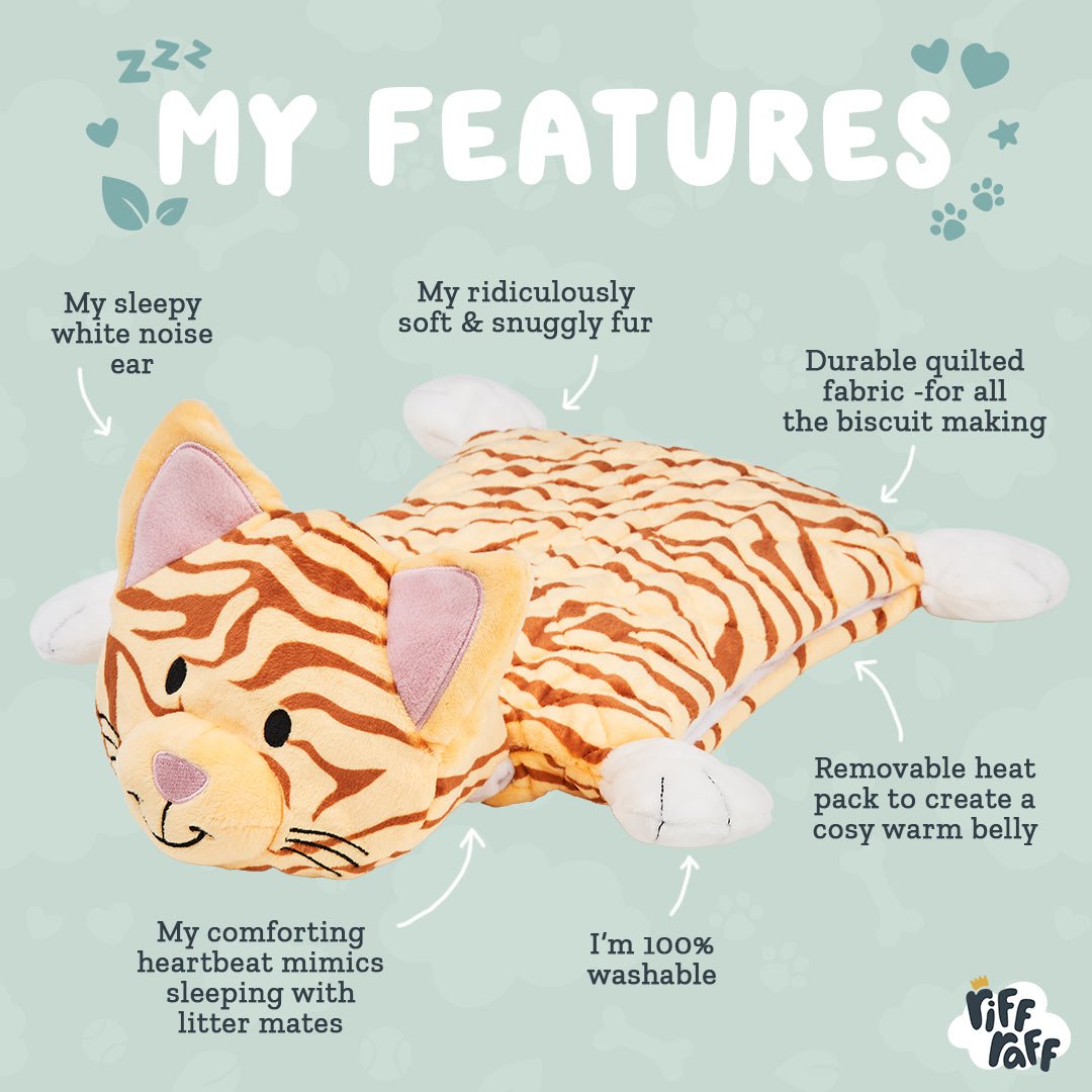 Cat Comforter - Tiga The Cat - riffraffpets