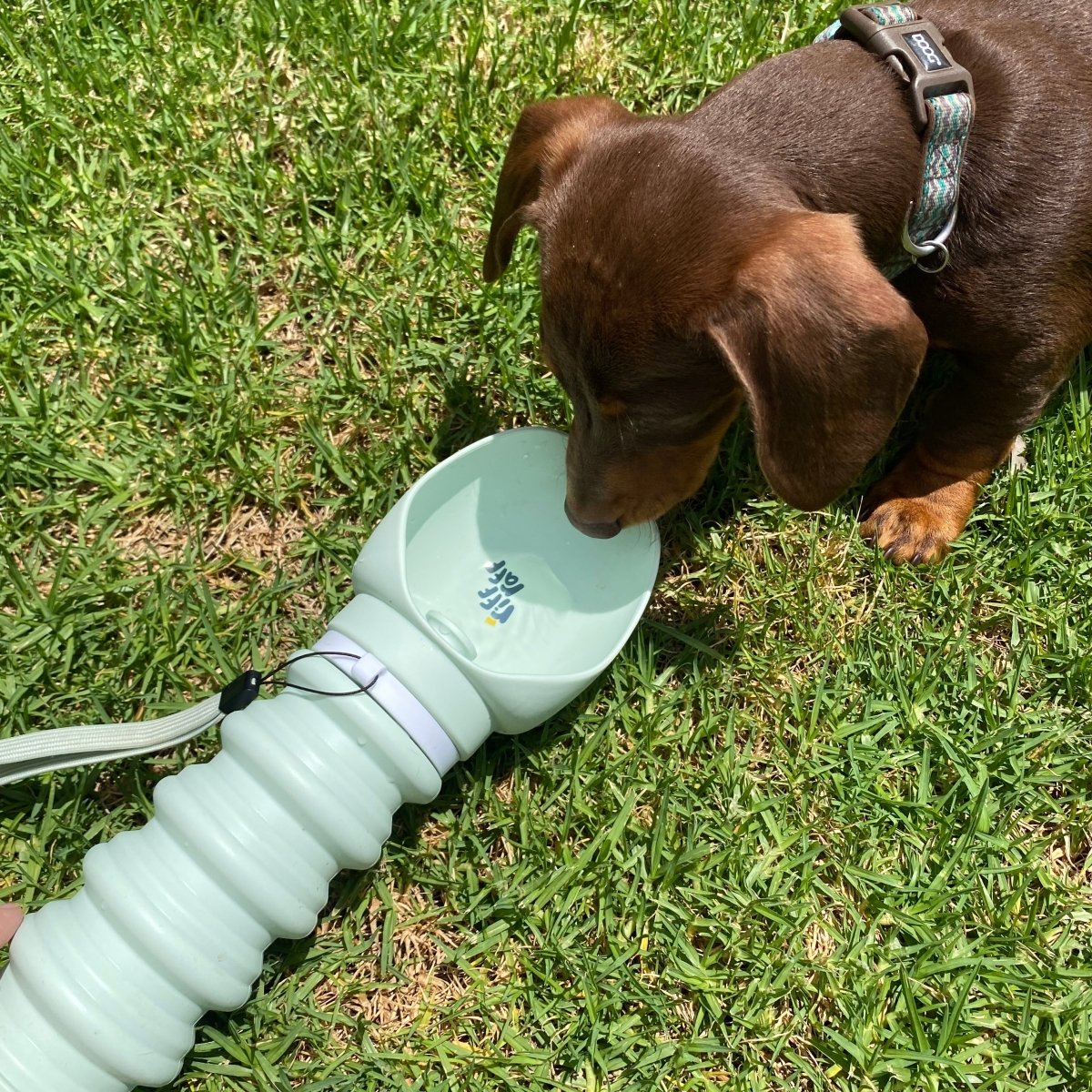 Pet Travel Bottle - riffraffpets