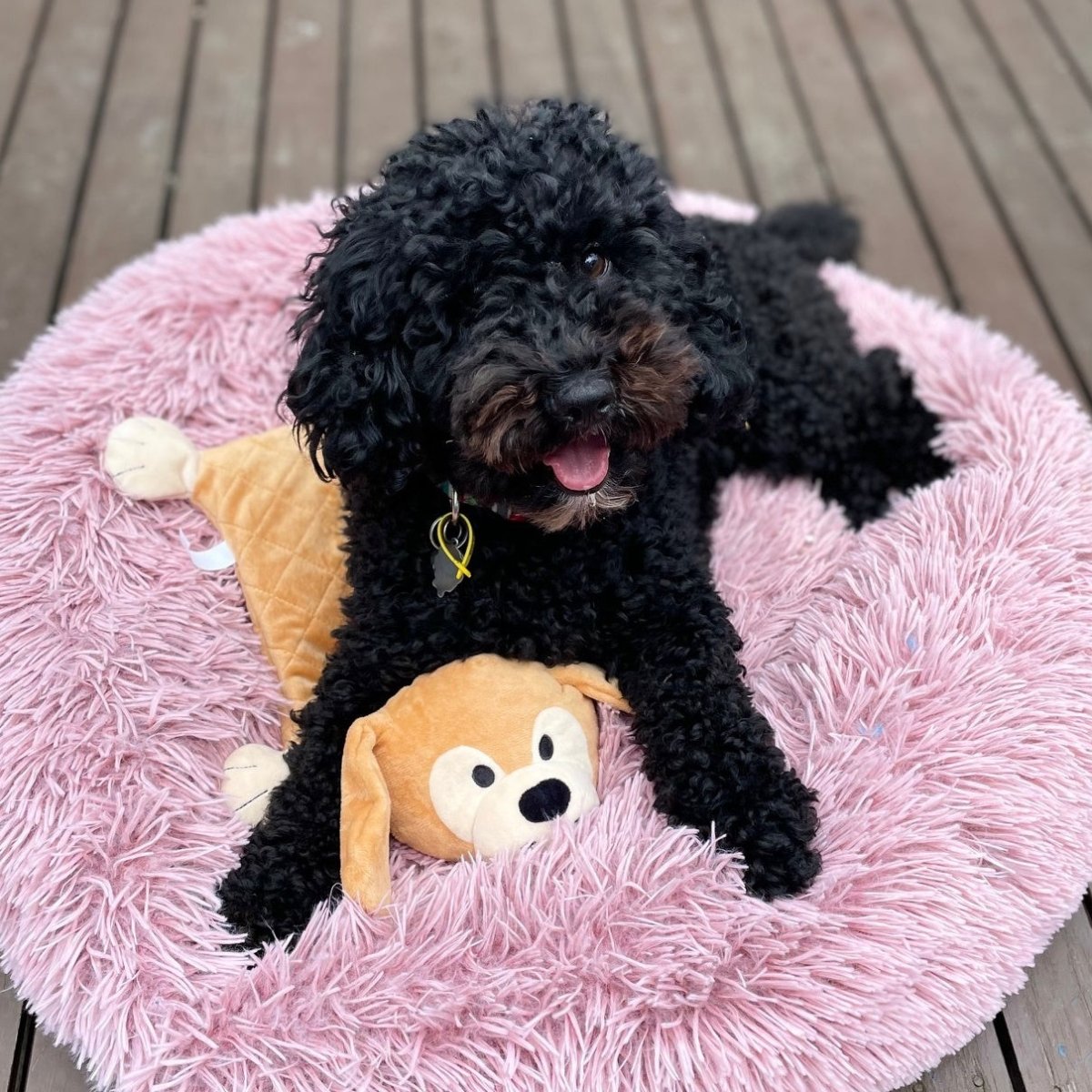 Puppy Comforter - Bingo The Dog - riffraffpets
