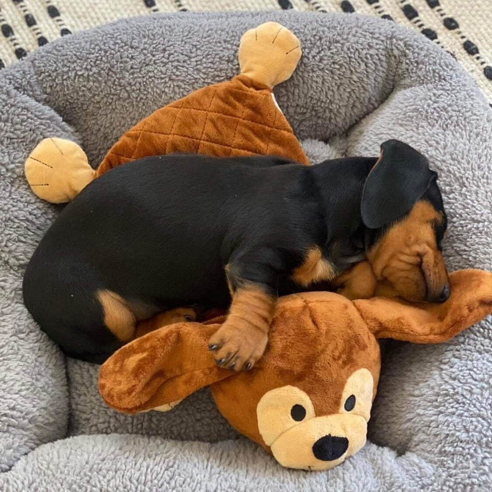 
                      
                        Puppy Comforter - Frankie The Dog - riffraffpets
                      
                    