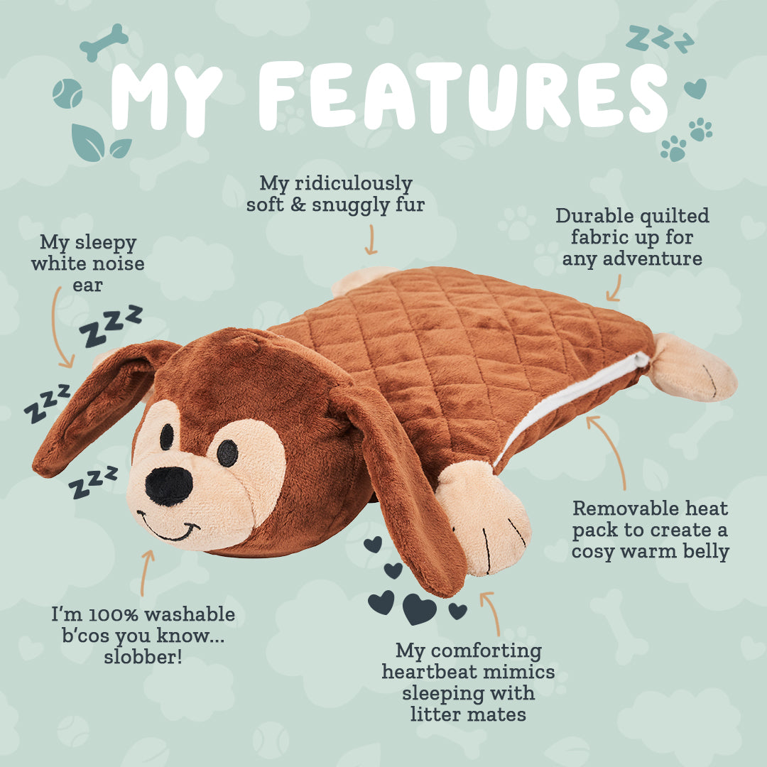 Riff Raff Pets - Perfect Companion for Your Furry Friend – riffraffpets