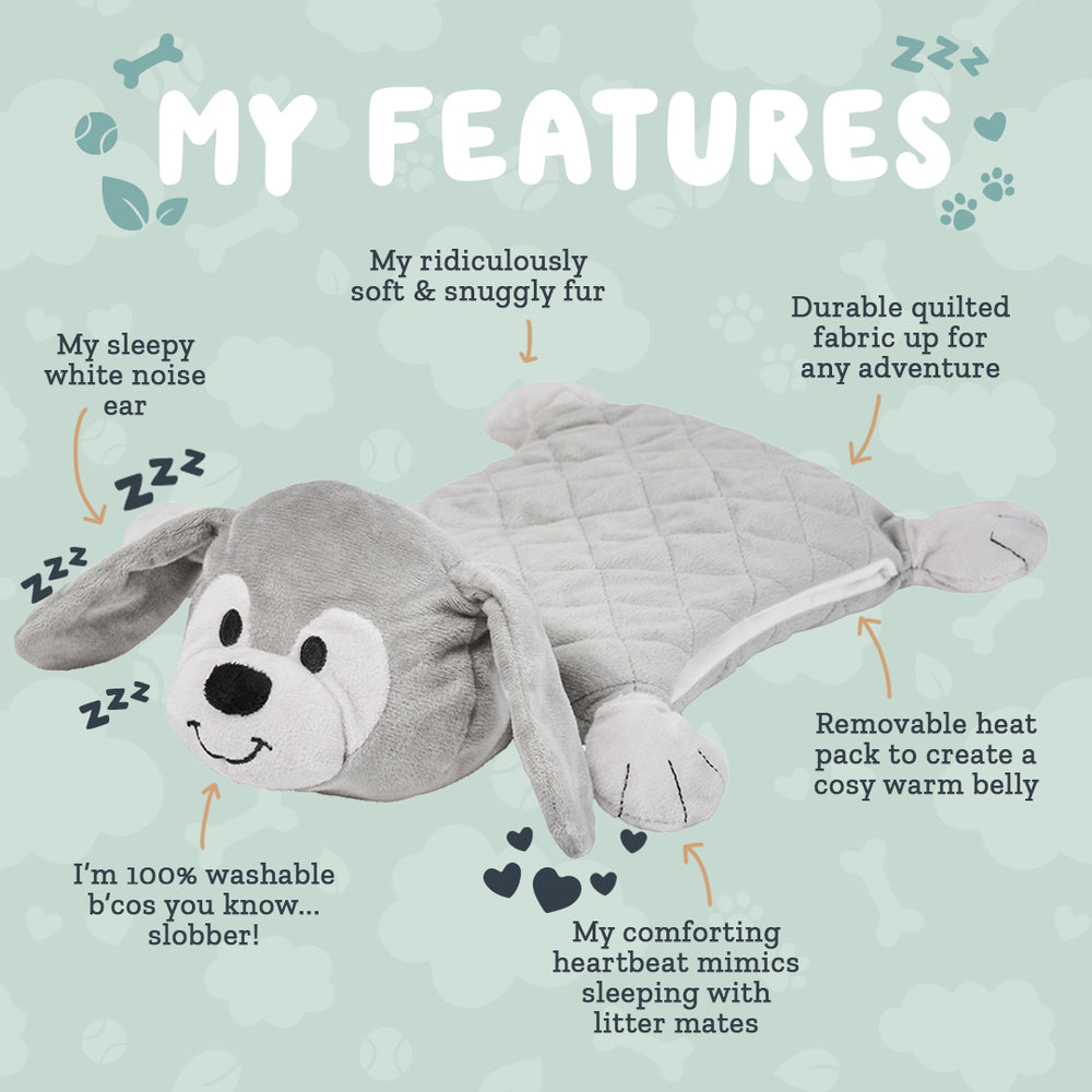 Riff Raff Pets - Perfect Companion for Your Furry Friend – riffraffpets